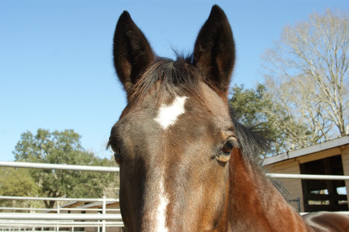 DSC03138.jpg