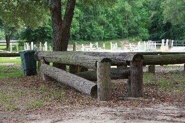 IMG_3856.jpg