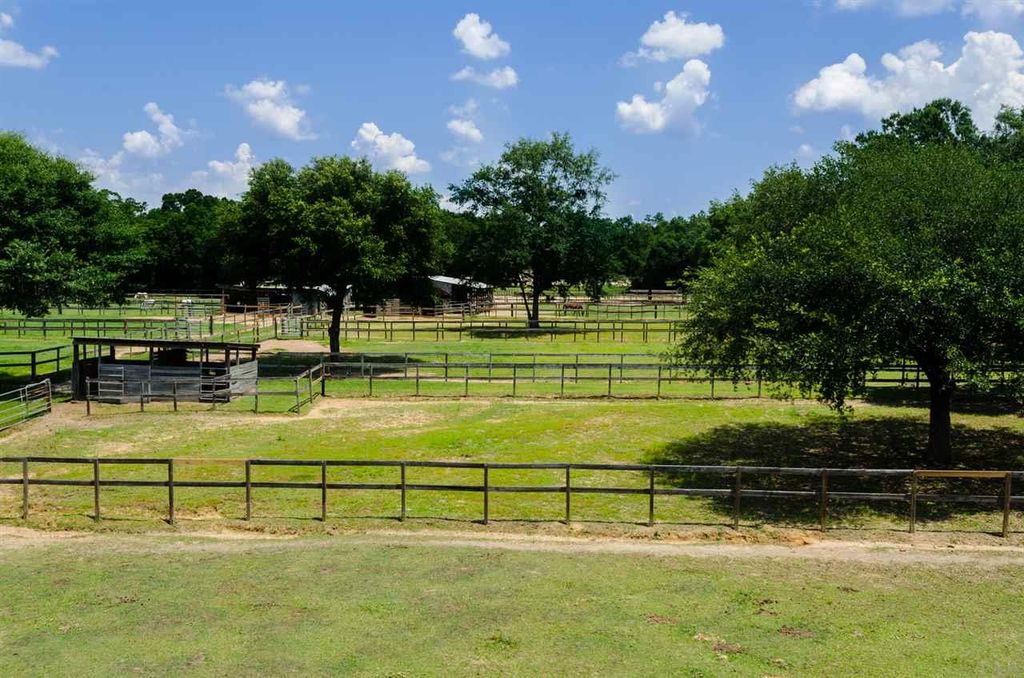 Pensacola's Premier Equestrian Boarding and Training Facility