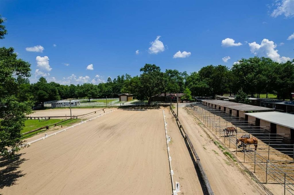 arena12222.jpg