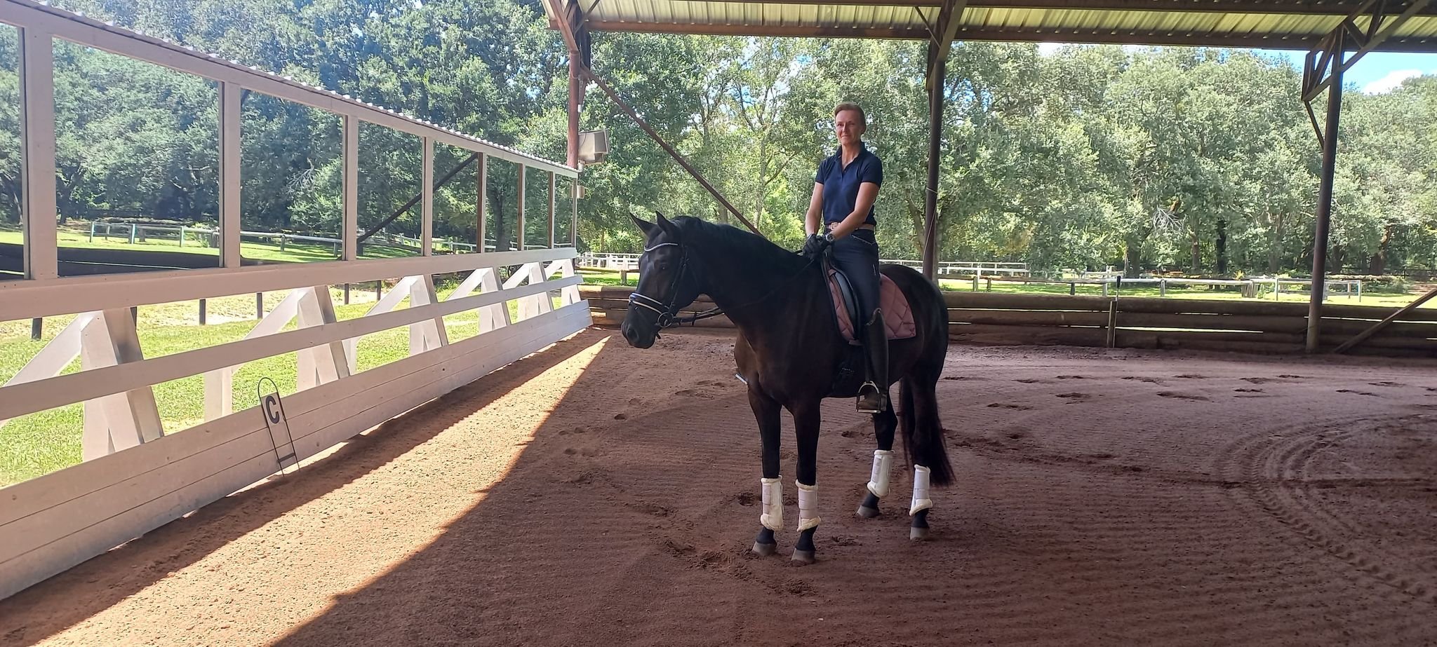 Pensacola's Premier Equestrian Boarding and Training Facility